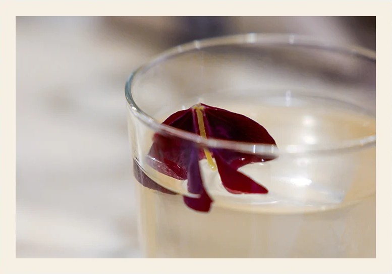 Come bere </br>Bottega Cinzano 1757 G.I. Extra Dry